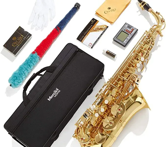 Best Alto Saxophones for Beginners – (2022 guide)